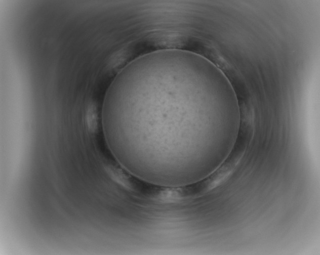 X0000113070080200908281203