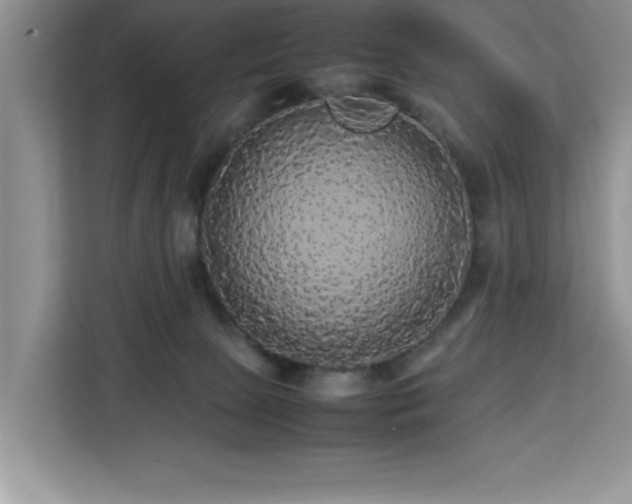 X0000113070081200908281203