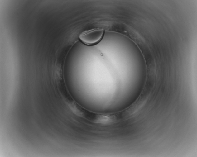 X0000113070083200908281203