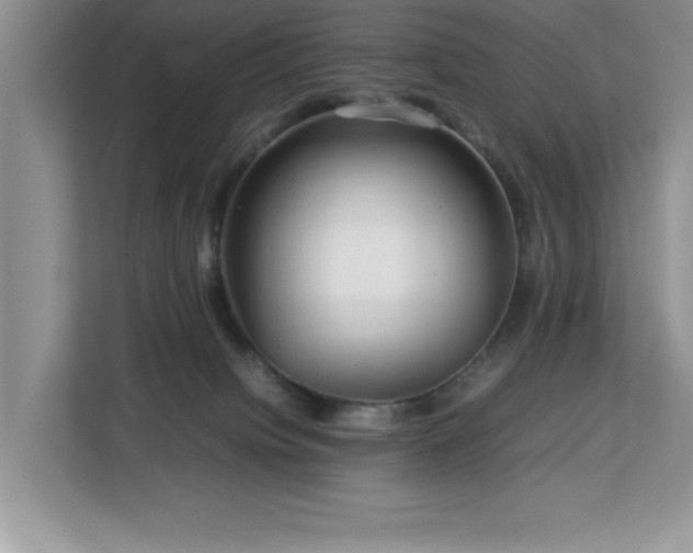 X0000113070084200908281203