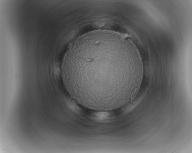 X0000113070085200908281203