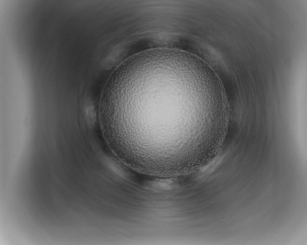 X0000113070086200908281203