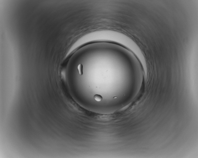 X0000113070088200908281203