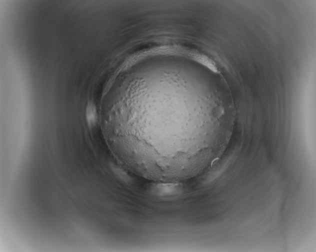 X0000113070089200908281203