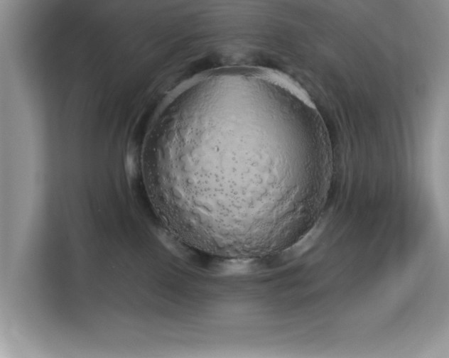 X0000113070090200908281203