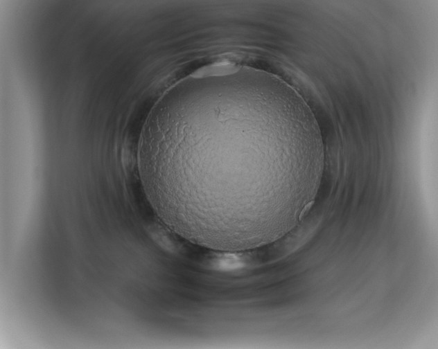 X0000113070091200908281203