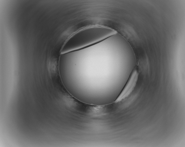 X0000113070092200908281203