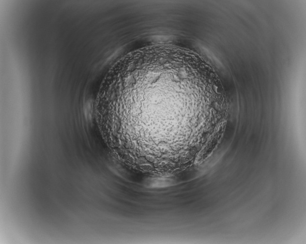 X0000113070093200908281203