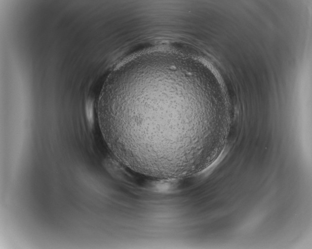 X0000113070094200908281203