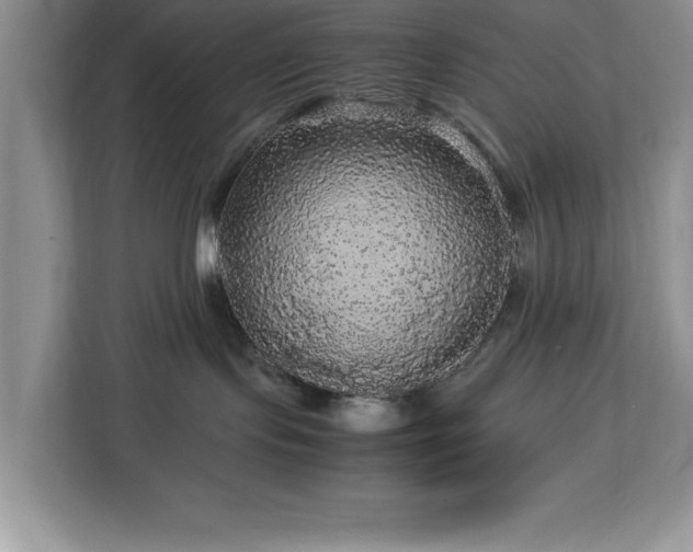 X0000113070095200908281203