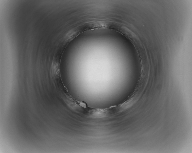 X0000113070096200908281203