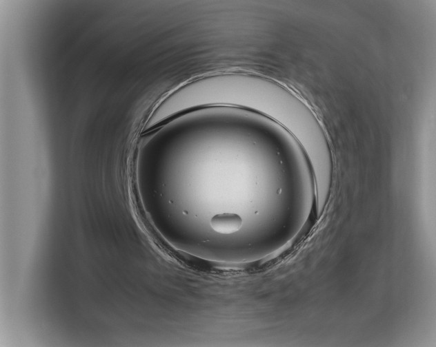 X0000113070097200908281202