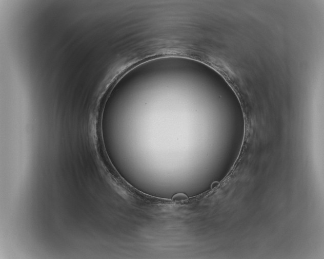 X0000113070098200908281202