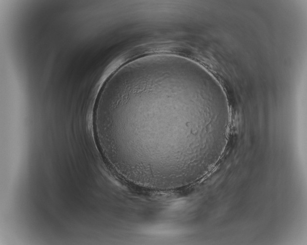 X0000113070099200908281202