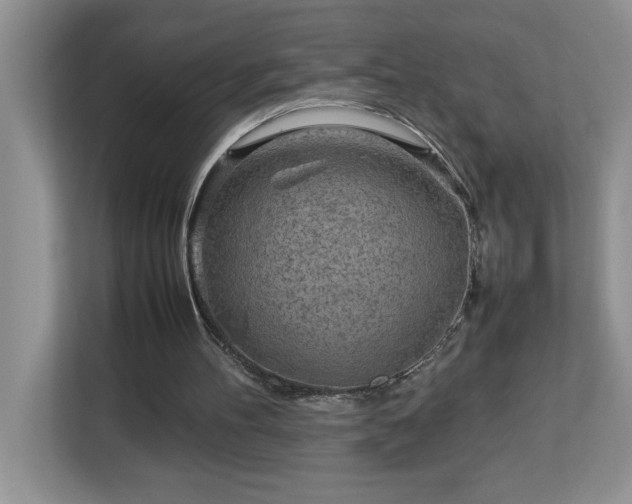 X0000113070100200908281202