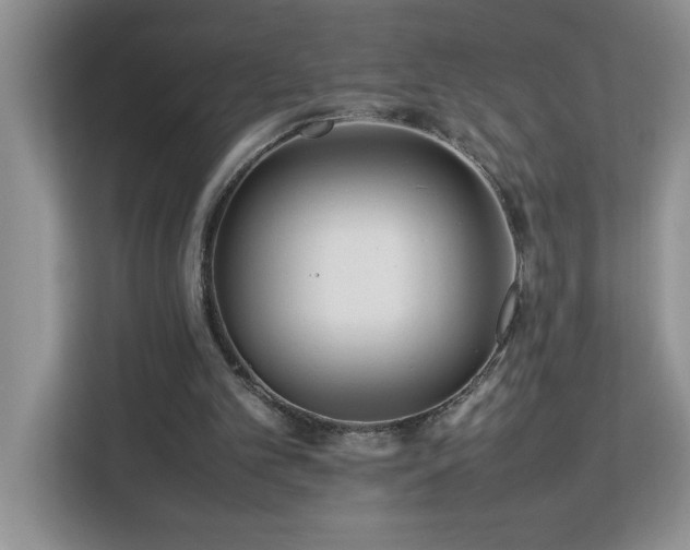 X0000113070101200908281202