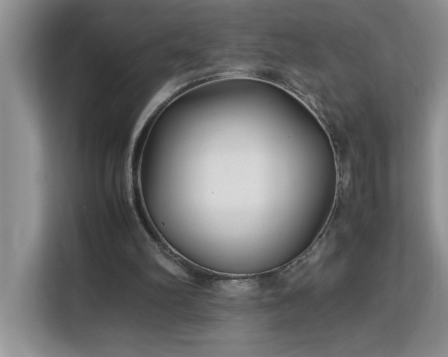 X0000113070102200908281202