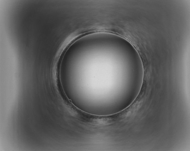 X0000113070103200908281202