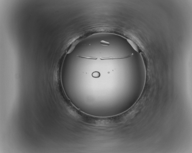 X0000113070105200908281202