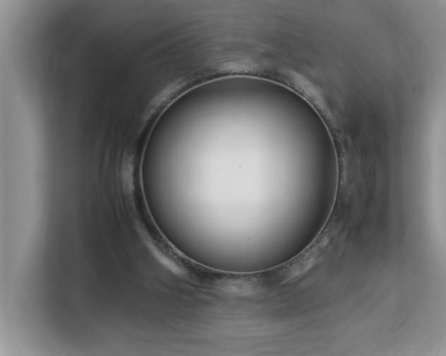 X0000113070106200908281202