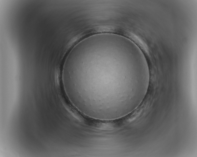 X0000113070107200908281202