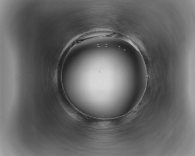 X0000113070108200908281202