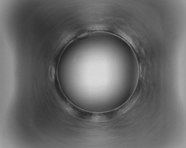 X0000113070109200908281202