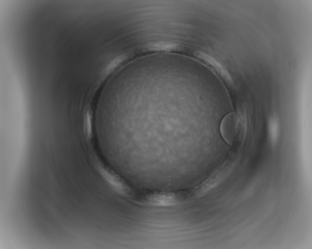 X0000113070110200908281202