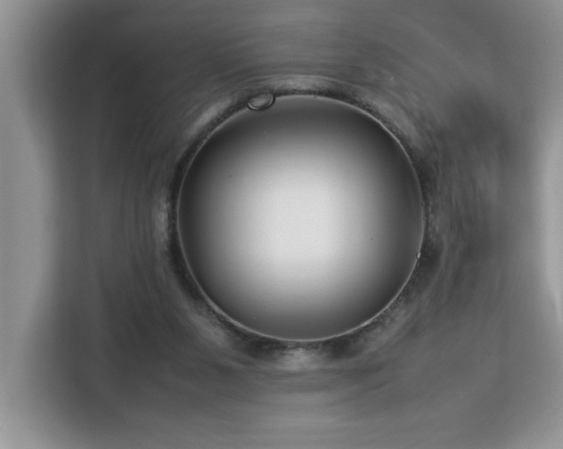 X0000113070111200908281202