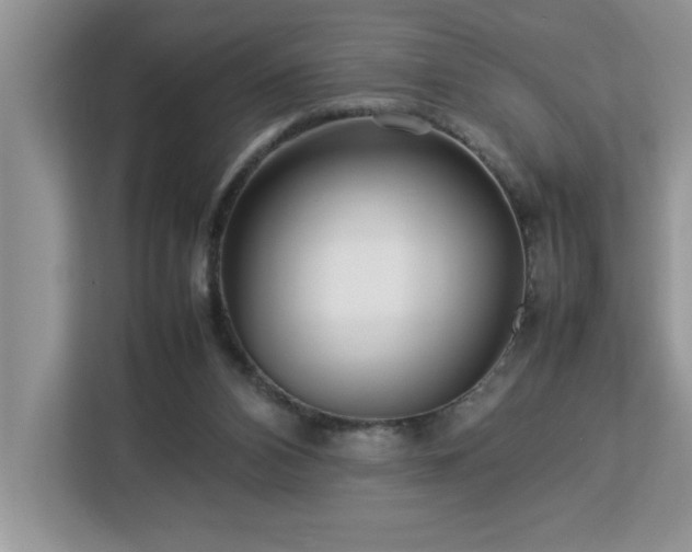 X0000113070112200908281202