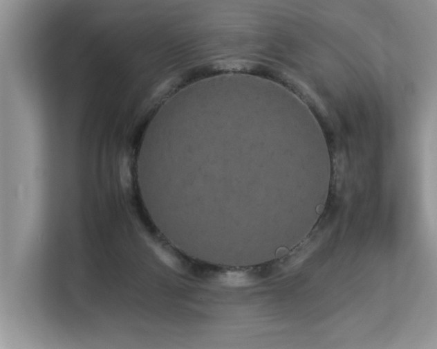 X0000113070114200908281202