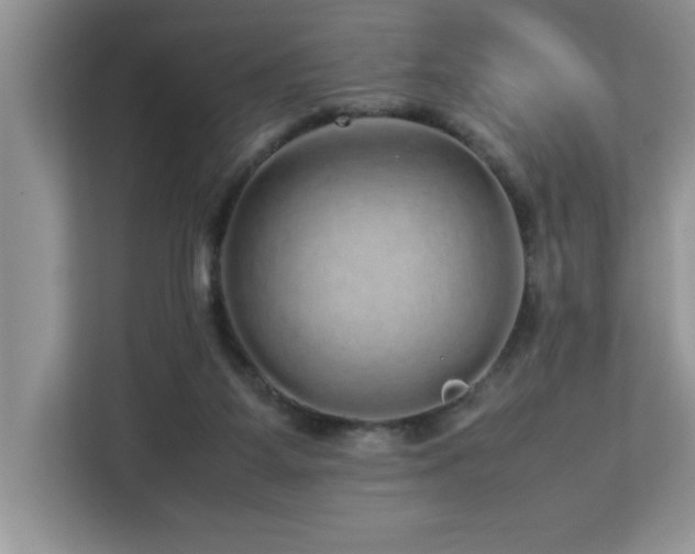 X0000113070115200908281202