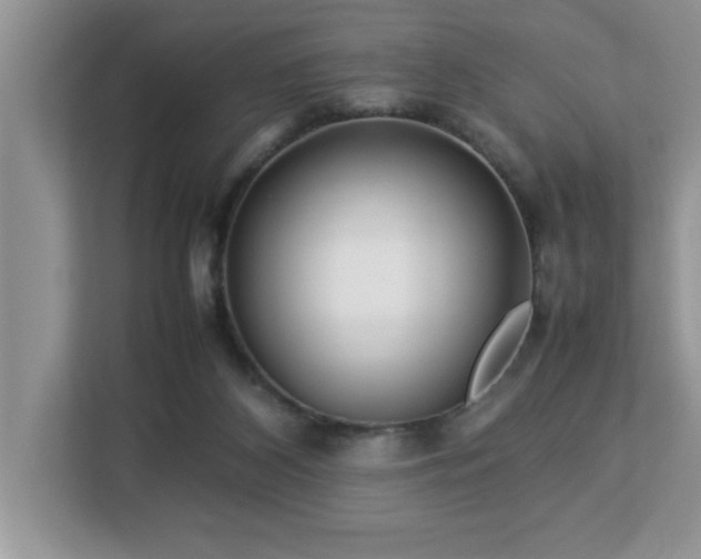 X0000113070116200908281202