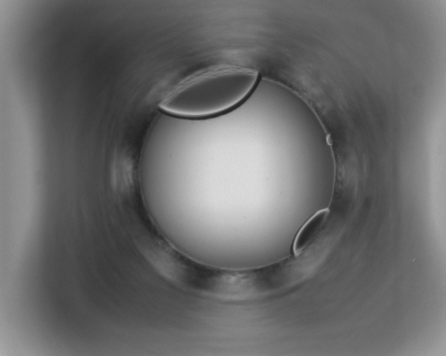 X0000113070117200908281202