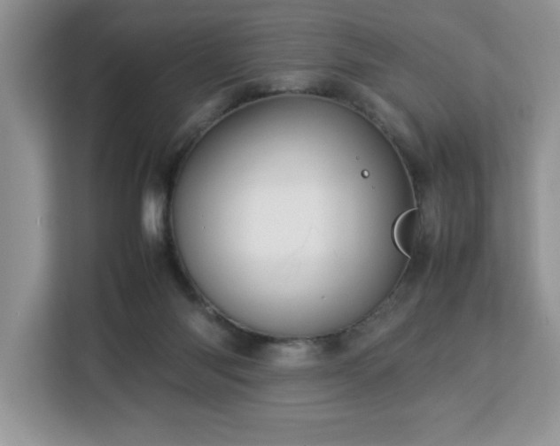 X0000113070118200908281202