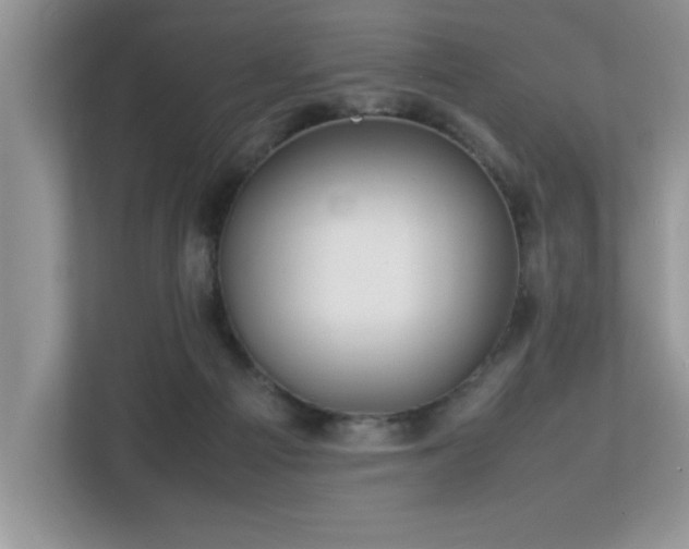 X0000113070121200908281202