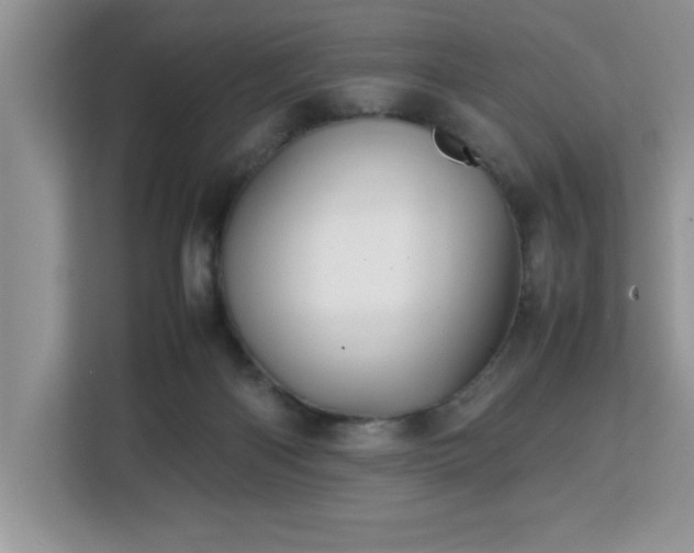 X0000113070122200908281202