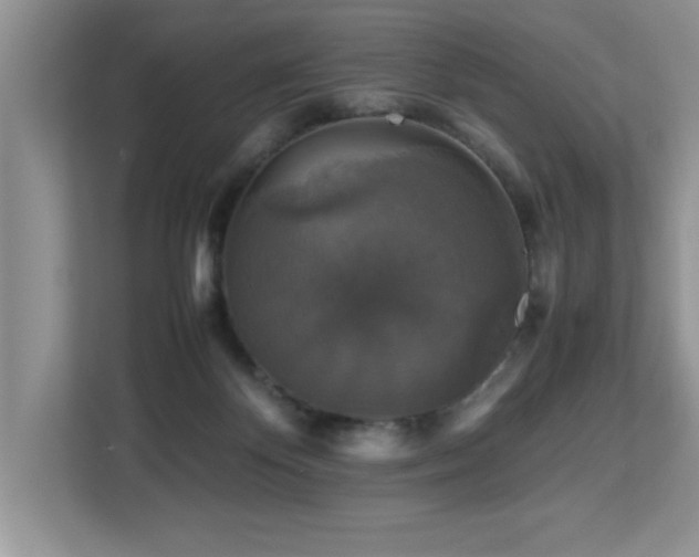 X0000113070124200908281202