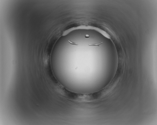 X0000113070125200908281202