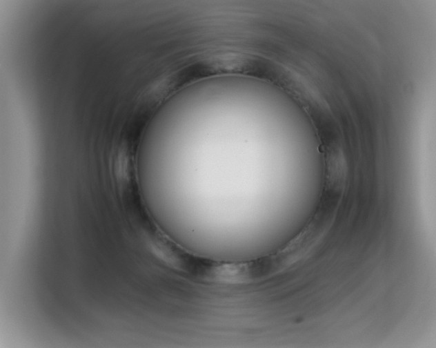 X0000113070126200908281202