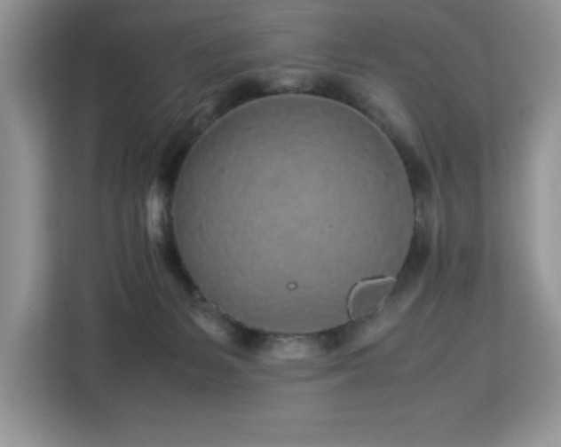 X0000113070127200908281202