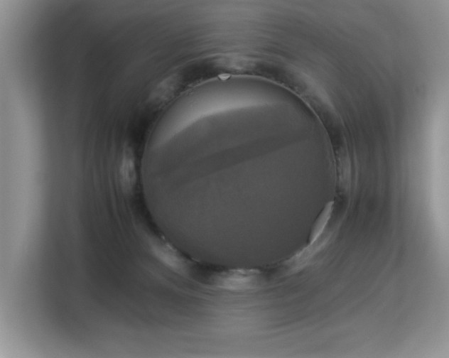 X0000113070128200908281202