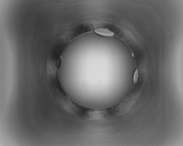 X0000113070129200908281202