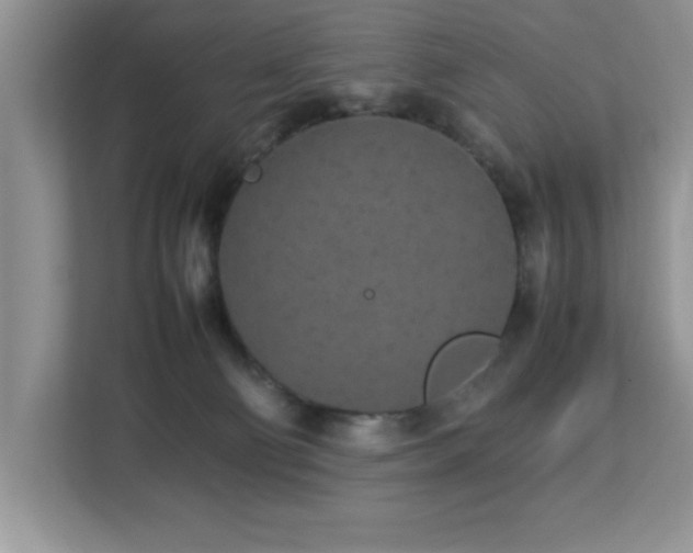 X0000113070130200908281202