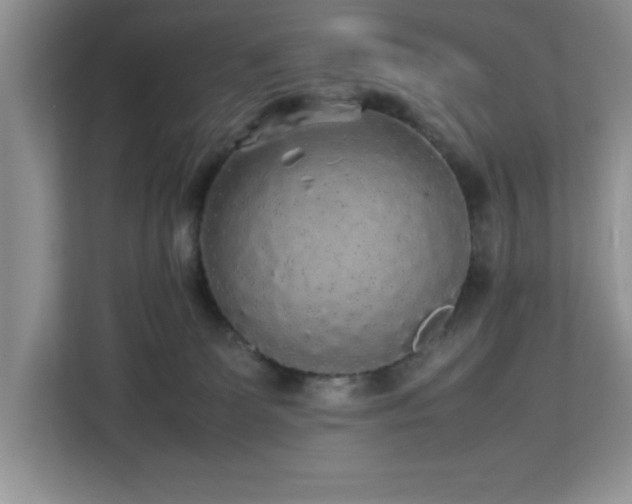 X0000113070131200908281202