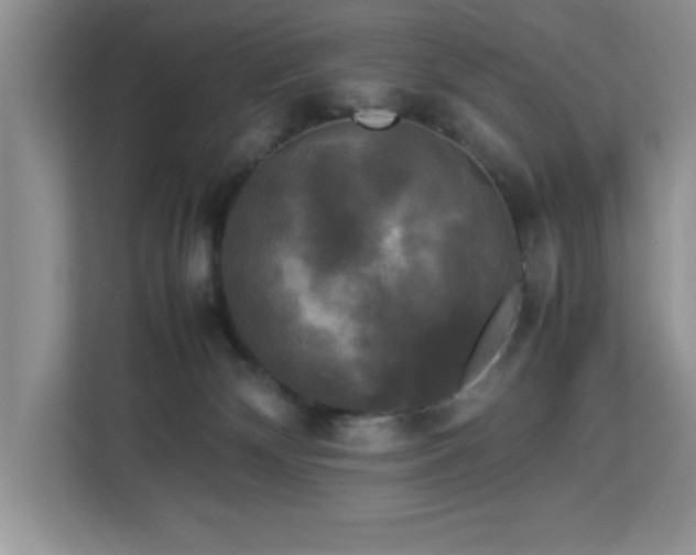 X0000113070132200908281202