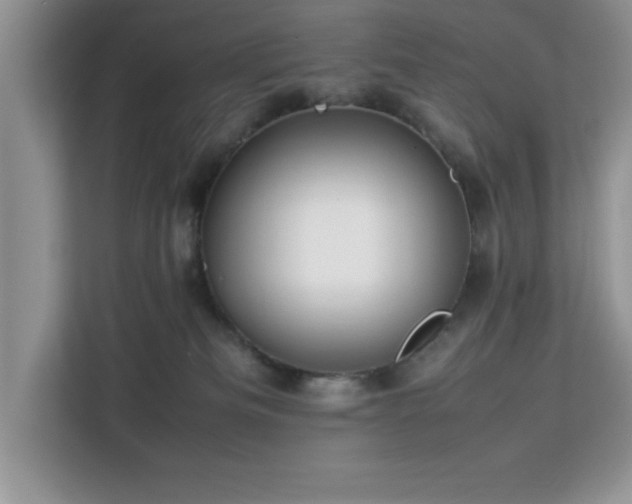 X0000113070133200908281202