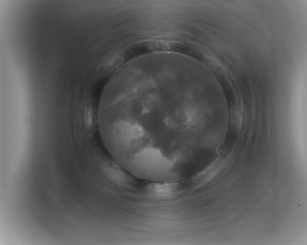 X0000113070134200908281202