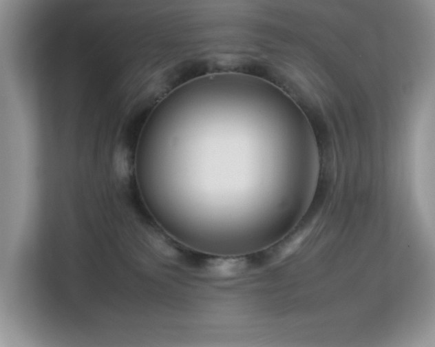 X0000113070135200908281202