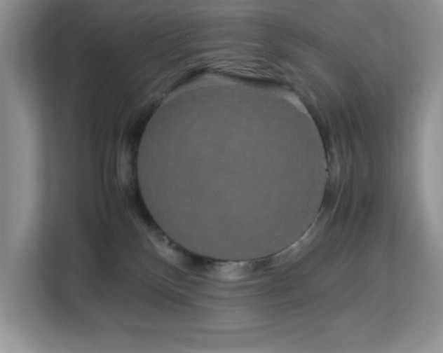 X0000113070136200908281202